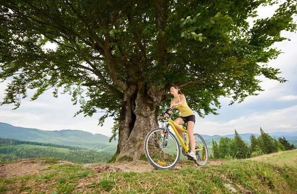 매력적인 사이클 노란색 자전거에 자전거 산에서 하루를 즐기고 스포츠 라이프 — 스톡 사진
