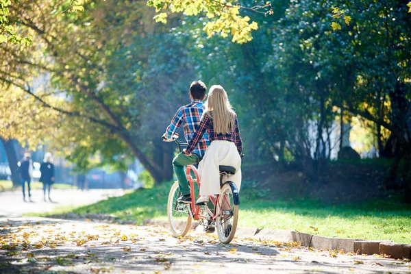Back view of young active tourist couple, handsome man and attractive blond woman cycling together tandem double bike along crackled path in lit by bright sun beautiful autumn park under tall trees.