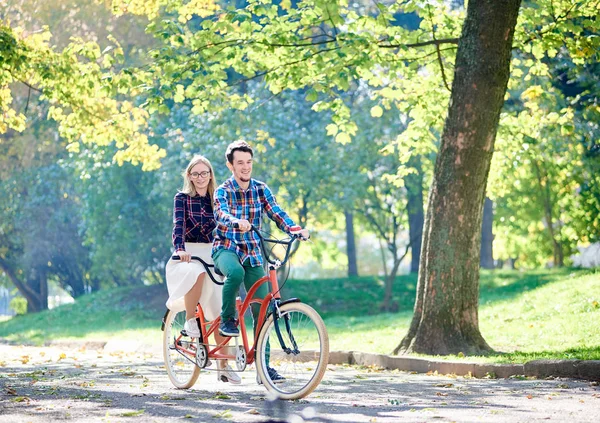 Young active happy traveler couple, handsome bearded man and attractive blond woman cycling together tandem double bike along crackled path in lit by bright sun beautiful park under tall trees.