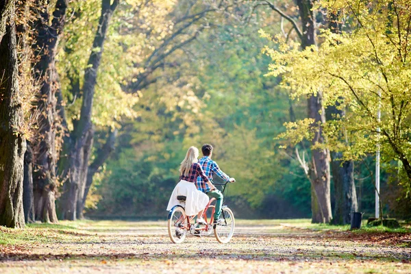 年轻浪漫情侣的背影 男人和金发女郎骑自行车沿公园或森林小巷在明亮的阳光照耀下 覆盖着金色的叶子在绿色和黄色的树木背景 — 图库照片