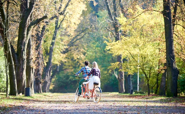 Back view of young couple, man and blond woman cycling tandem bicycle along park or forest alley lit by bright sun and covered with golden leaves on green and yellow trees background in the fall