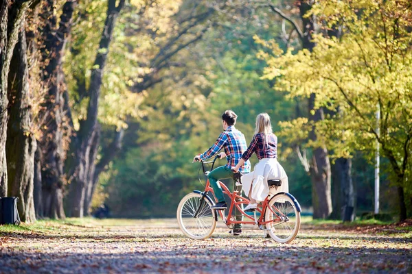 年轻浪漫情侣的背影 男人和金发女郎骑自行车红色串联自行车沿秋季公园或森林小巷明亮的太阳照亮和金色的叶子覆盖在绿色和黄色的树木背景 — 图库照片