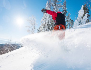 Yatay düşük açılı bir yamaçta güneşli kış gününde dağlarda at binme bir snowboard kadeh. Havada kar. Orman, mavi gökyüzü ve güneş üzerinde arka plan boşaltmak freeride snowboard