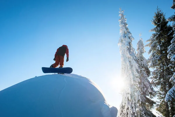 Yukarı Dağlarda Yürüyüş Freerider Snowboard Düşük Açılı Vurdu Ormanlar Güneş — Stok fotoğraf