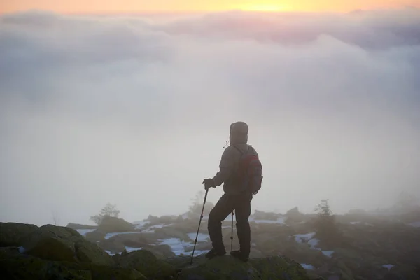 Visão Traseira Caminhante Turístico Com Mochila Paus Trekking Pico Montanha — Fotografia de Stock