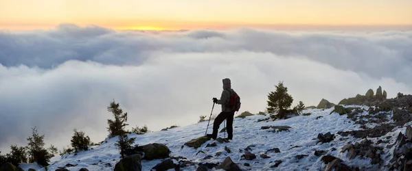 Visão Traseira Caminhante Turístico Com Mochila Paus Trekking Pico Montanha — Fotografia de Stock