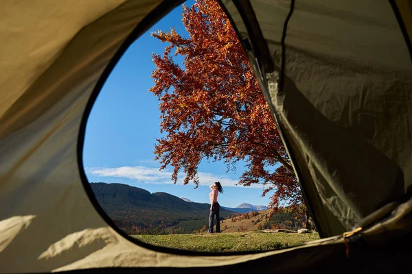 view from inside of hikers tourist tent on woman standing under big tree with golden leaves on mountains background
