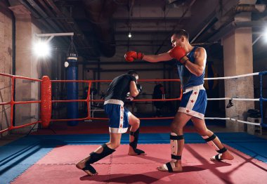 Two professional men kickboxers fighting in ring at sport club clipart
