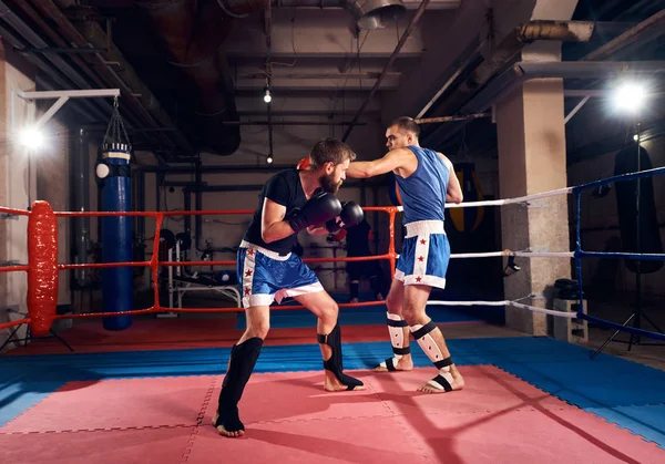 Dois Homens Adultos Kickboxers Treinando Ringue Clube Luta — Fotografia de Stock