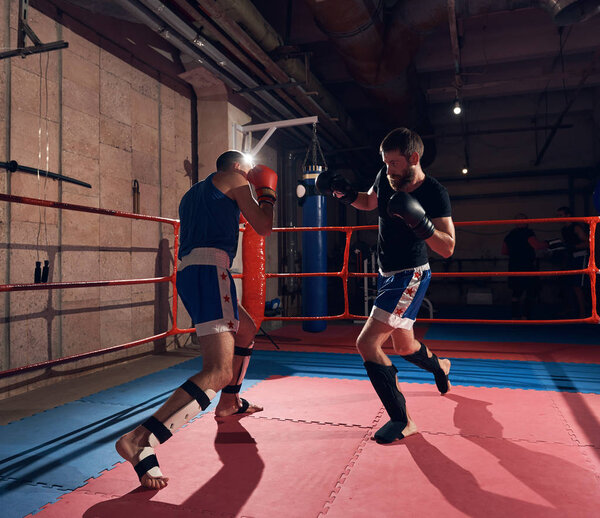 Два активных спортсмена-боксера практикуют кикбоксинг на ринге в спортклубе
