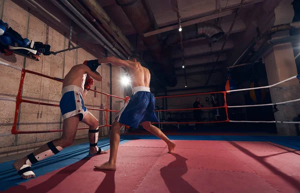 Dois Desportistas Boxeadores Que Praticam Boxe Ringue Clube Desportivo — Fotografia de Stock