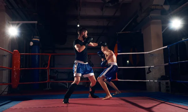 Dois Boxers Esportivos Treinando Kickboxing Ringue — Fotografia de Stock