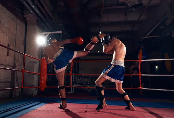 Dois Jovens Desportistas Kickboxers Formação Kickboxing Ringue Clube Desportivo — Fotografia de Stock