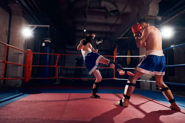 Two aggressive boxers training kickboxing in ring at sport club