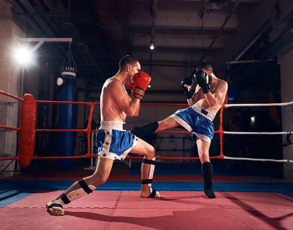 Dois Boxers Agressivos Treinando Kickboxing Ringue Clube Esportivo — Fotografia de Stock