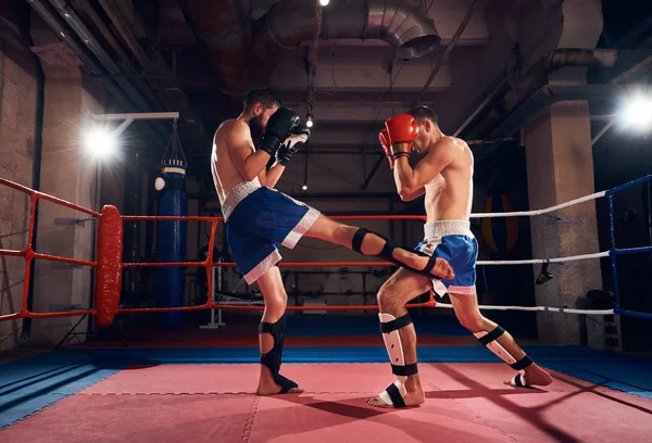 Two aggressive boxers training kickboxing in ring at sport club