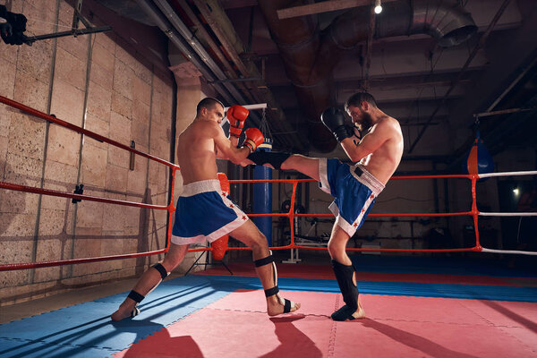 Боец, практикующий кикбоксинг с партнером по спаррингу

