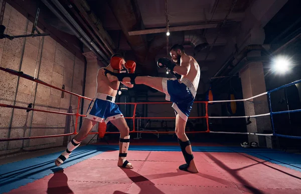 Dois Homens Boxers Profissionais Exercitando Kickboxing Ringue — Fotografia de Stock