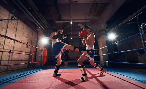 Dois Muscular Masculino Boxers Formação Kickboxing Ringue Esporte Clube — Fotografia de Stock