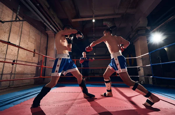 Δύο Επαγγελματίες Μπόξερ Εκπαίδευση Kickboxing Στο Δαχτυλίδι Στο Health Club — Φωτογραφία Αρχείου
