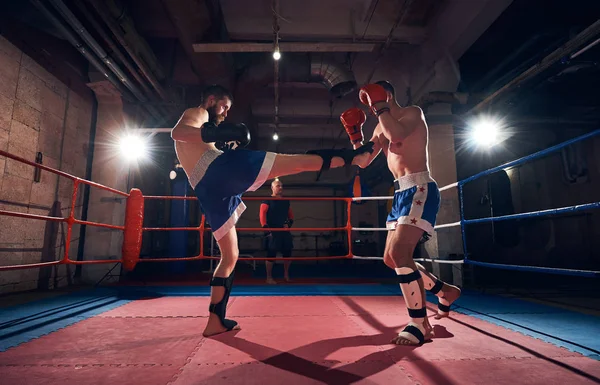 Two professional boxers training kickboxing in ring at health club