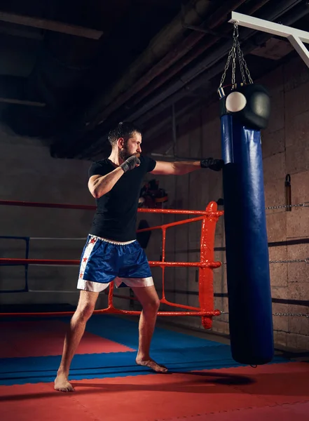 Atlético Masculino Kickboxer Treinamento Chutando Perfurando Saco Boxe Pesado — Fotografia de Stock