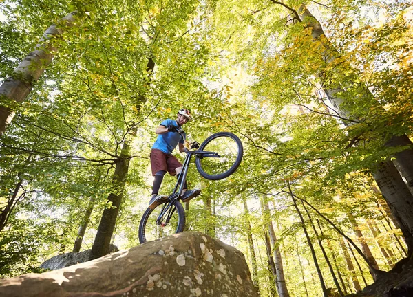 Vista Ángulo Bajo Del Ciclista Deportista Profesional Equilibrándose Rueda Trasera — Foto de Stock