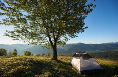 kamp alanında büyük ağaç gündoğumu sabah itibariyle yakınındaki beyaz çadır