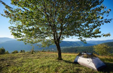 kamp alanında büyük ağaç gündoğumu sabah itibariyle yakınındaki beyaz çadır