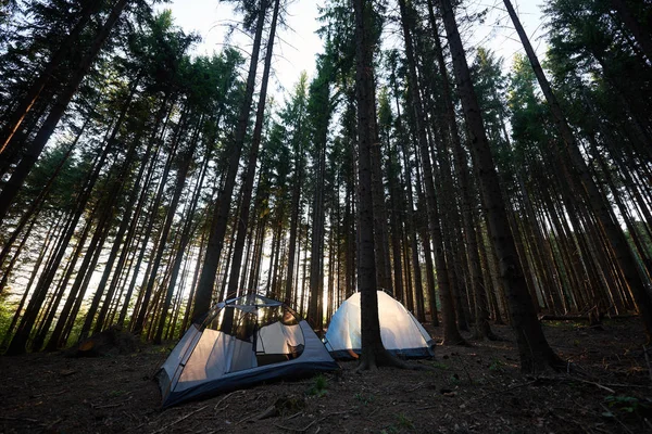 Летний Кемпинг Двумя Туристическими Белыми Палатками Кемпинге Красивом Лесу — стоковое фото