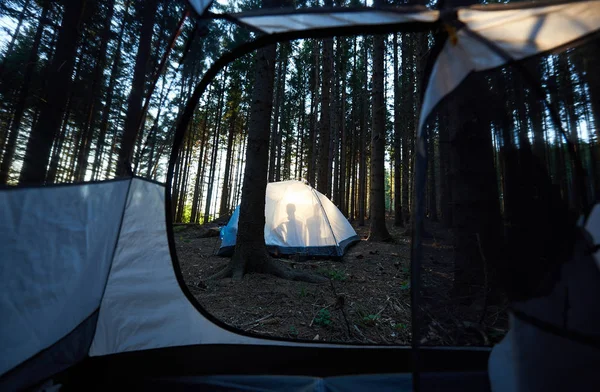 Turist Beyaz Çadır Kamp Güzel Ormanda Kamp Yaz — Stok fotoğraf