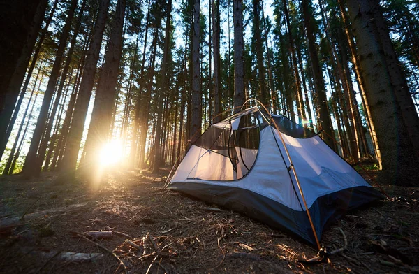 Tente Blanche Camping Dans Belle Forêt Montagne Matin — Photo