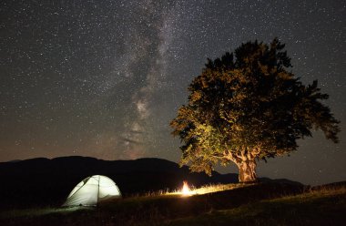 Büyük ağaç yakınındaki dağlarda geceleyin kamp turizm