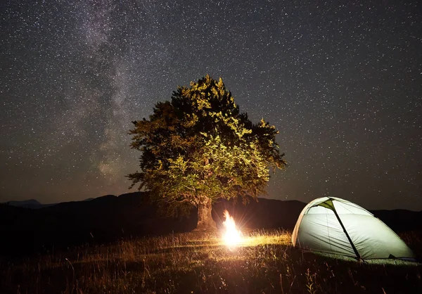 Туристический Лагерь Горах Рядом Большим Деревом Ночное Время — стоковое фото