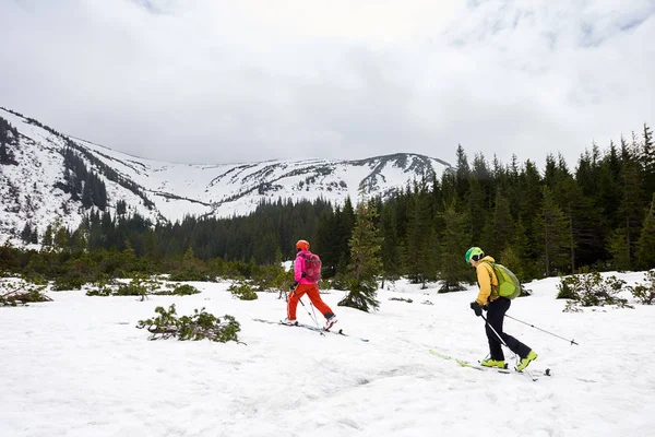 Two Hikers Backpacks Walking Skis Snow Covered Valley Forest Fir — ストック写真