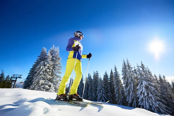 Junge Glückliche Lächelnde Frau Posiert Auf Skiern Mit Skibrille Und — Stockfoto