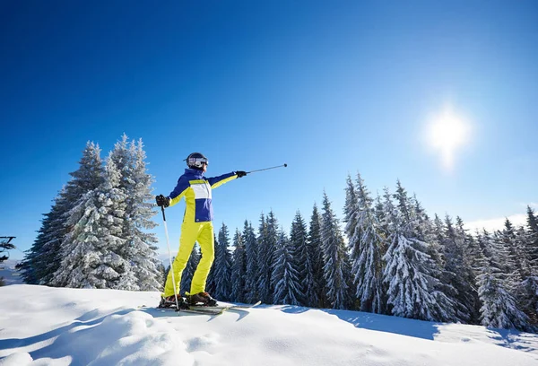 年轻快乐的女人穿着护目镜 站在滑雪板上 看着镜头 然后从雪地茂密的山下滑行 — 图库照片