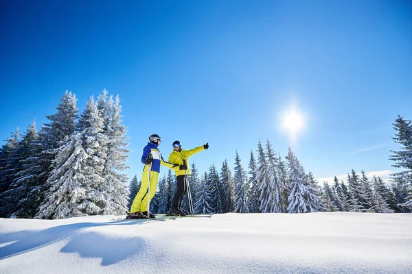 Снимок Лыжников Отдыхающих Время Катания Лыжах Солнечную Зимнюю Погоду — стоковое фото