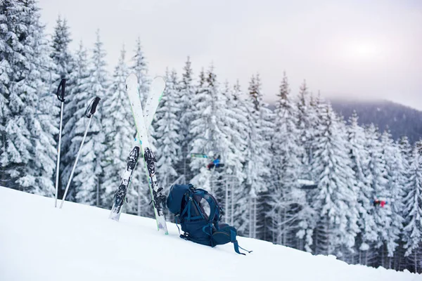 山下雪地上的旅行团 滑雪和撑杆 — 图库照片