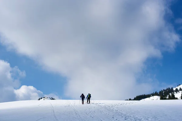 Zadní Pohled Dva Turisty Lyžaře Batohy Trekking Lyžích Zasněženého Kopce — Stock fotografie