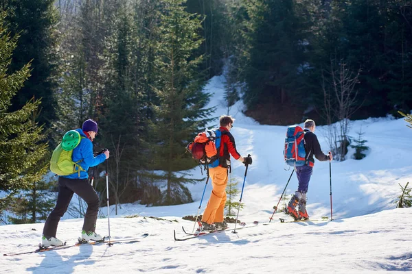 日当たりの良い寒い冬の日には 深い雪の中でスキーにバックパックハイキングを持つ3人の旅行者 男性スキー観光客 — ストック写真
