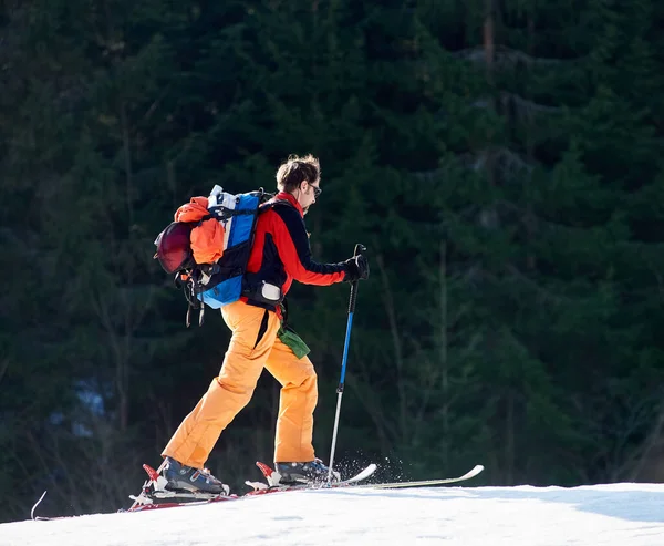 Smiling Male Ski Mountaineering Climb Summit Lights Sun Forest Background — ストック写真