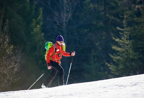 Male Skier Tourist Backpack Sunglasses Walking Fast Skis Snowy Hill — ストック写真