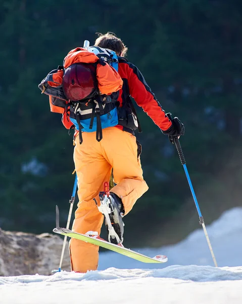 Back View Hiker Backpack Bright Clothing Traveling Skis Deep White — ストック写真
