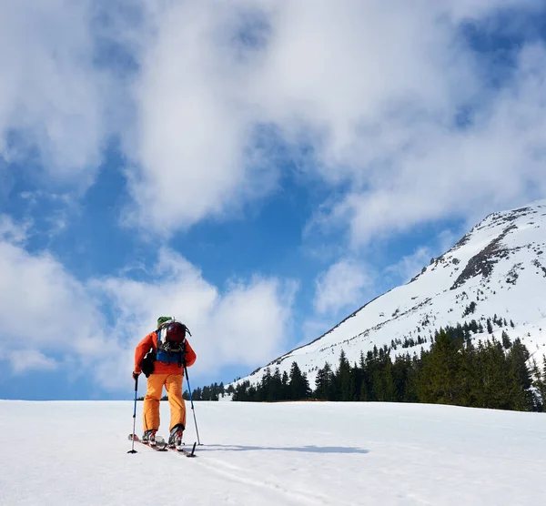 Alpinista Spacerujący Śnieżnym Grzbiecie Nartami Plecaku Słoneczny Dzień — Zdjęcie stockowe