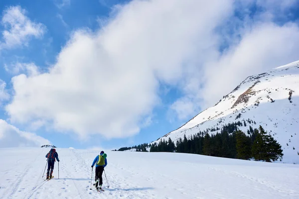 Back View Two Hikers Skiers Backpacks Trekking Skis Snowy Hill — ストック写真