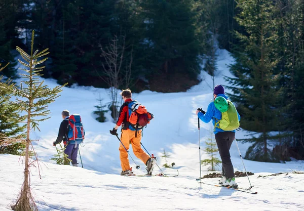 Three Travelers Male Skier Tourists Backpacks Hiking Skis Deep Snow — ストック写真