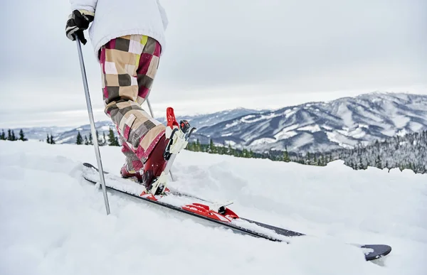 Nahaufnahme Eines Alpinen Skifahrers Winterlicher Skihose Der Den Verschneiten Hügel — Stockfoto