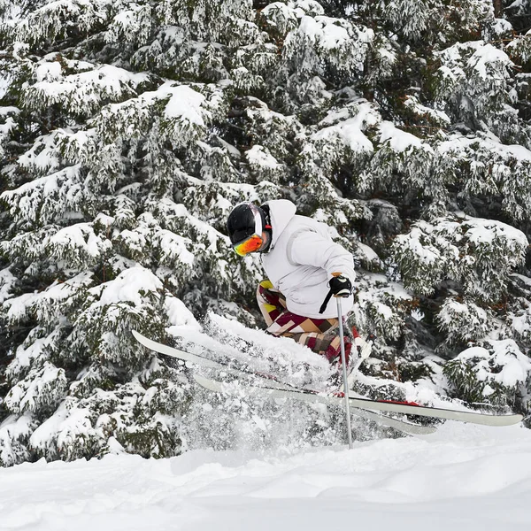 Male Skier Skiing Fresh Powder Snow Beautiful Snowy Trees Background — Stock Photo, Image