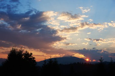 Gün batımında mavi ve yumuşak pembe bulutların renkleriyle huzurlu bir akşam göğü. Ufuk hafifçe parlıyor, siluetli çam ağaçları ve yuvarlanan tepeler üzerine ışık saçıyor, huzurlu ve geniş bir manzara yaratıyor..